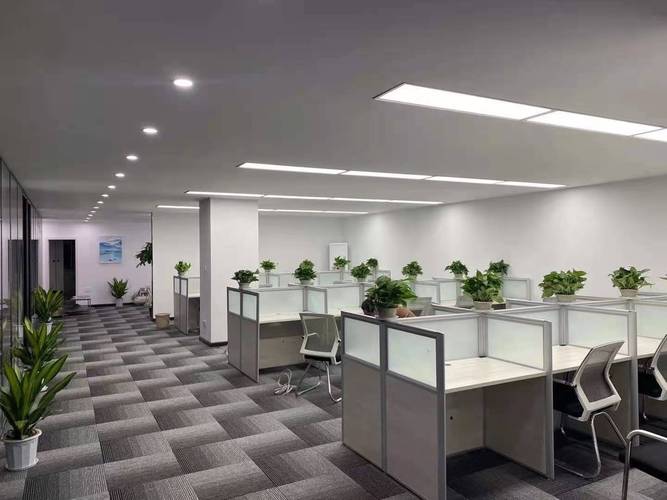 柳俊雄,公司经营范围包括:信息技术咨询服务;信息系统集成
